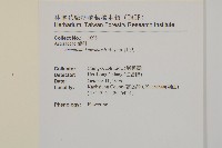 高山艾藏品圖，第2張