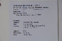 紅子莢迷藏品圖，第2張