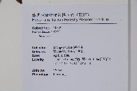 南湖小蘗藏品圖，第2張