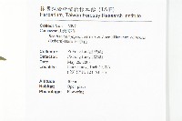 四照花藏品圖，第2張