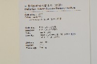 南華南蛇藤，青江藤藏品圖，第2張