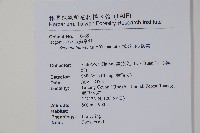 武威山秋海棠藏品圖，第2張