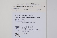 蘭嶼念珠藤藏品圖，第2張