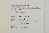 鬼針藏品圖，第2張