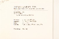 線球菊、田基黃藏品圖，第2張