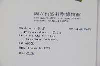 早田氏冬青藏品圖，第2張