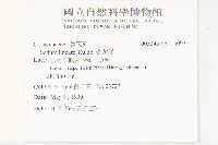 佛甲草、金莿插藏品圖，第2張