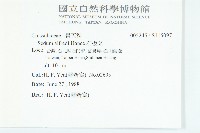 石板菜藏品圖，第2張