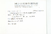 鵝鑾鼻燈籠草藏品圖，第2張