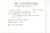 小燈籠草、大還魂藏品圖，第2張