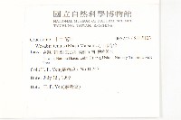 小山蕍菜藏品圖，第2張