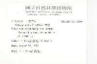 葶藶藏品圖，第2張