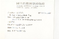 葶藶藏品圖，第2張