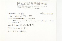 葶藶藏品圖，第2張