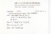 廣東葶藶藏品圖，第2張