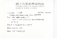 廣東葶藶藏品圖，第2張