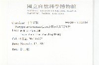 廣東葶藶藏品圖，第2張