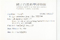 廣東葶藶藏品圖，第2張