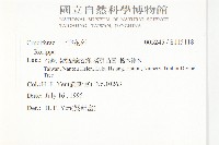 小葶藶藏品圖，第2張