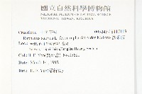 濱萊菔藏品圖，第2張