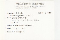 獨行菜藏品圖，第2張