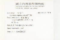 獨行菜藏品圖，第2張