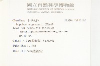 獨行菜藏品圖，第2張