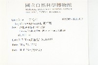 獨行菜藏品圖，第2張