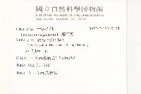 獨行菜藏品圖，第2張