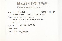 臭濱芥、臭薺藏品圖，第2張