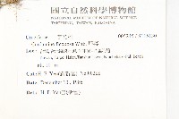 焊菜藏品圖，第2張