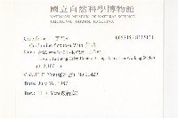 焊菜藏品圖，第2張