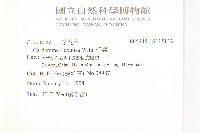 焊菜藏品圖，第2張