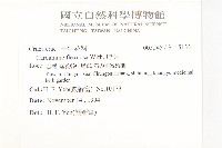 焊菜藏品圖，第2張