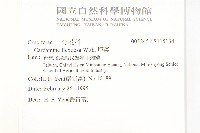 焊菜藏品圖，第2張