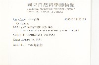 登錄號:S115135藏品圖，第2張