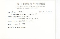 薺藏品圖，第2張