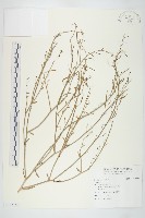 登錄號:S115140藏品圖，第1張