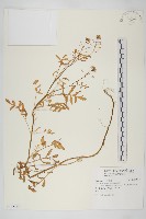 登錄號:S115150藏品圖，第1張