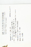 鄧氏胡頹子藏品圖，第2張