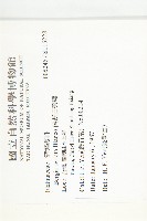 倍蕊田繁縷藏品圖，第2張