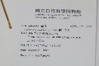 假川牛膝藏品圖，第2張