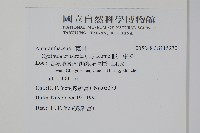 假川牛膝藏品圖，第2張