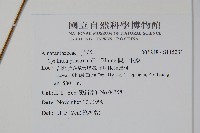 假川牛膝藏品圖，第2張