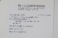 假川牛膝藏品圖，第2張