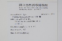 假川牛膝藏品圖，第2張