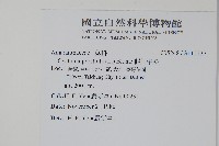 假川牛膝藏品圖，第2張