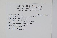 假川牛膝藏品圖，第2張