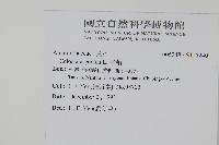 青葙藏品圖，第2張