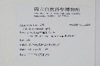 青葙藏品圖，第2張